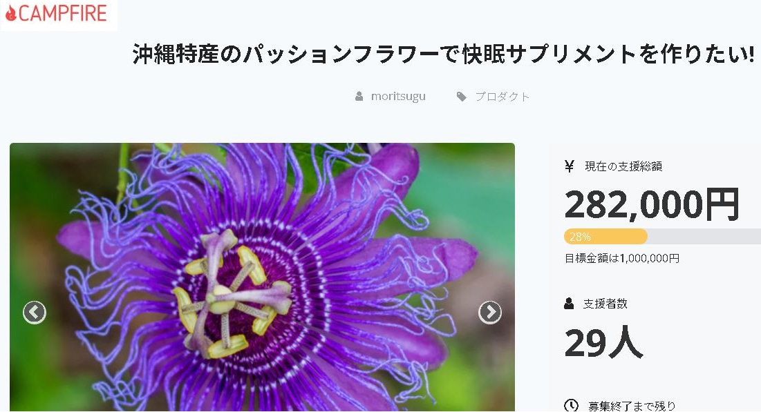 クラウドファンディング制作丸ごとお手伝います Plan SをCampfire公式パートナー取得記念価格で！ イメージ5