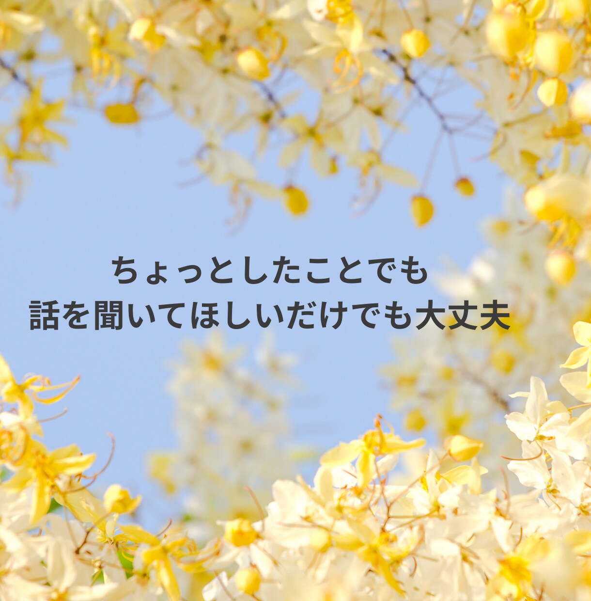 看護学生さんのお話聞きます 実習のことから日常生活のことまで^^相談乗ります。 イメージ3