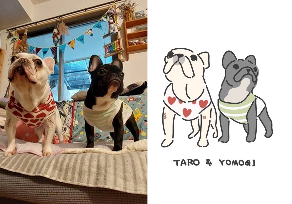 愛犬のゆるかわ似顔絵描きます お写真からゆるかわいい似顔絵をお描きします。 イメージ4