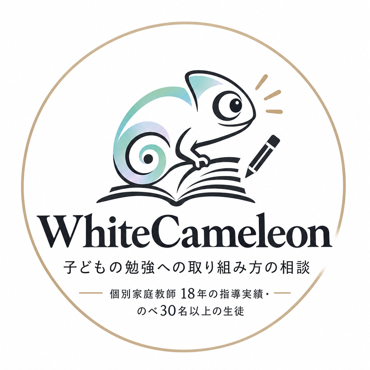勉強嫌いな子どもの勉強へ取組み方のご相談を承ります 個別家庭教師18年＋30名以上を指導したプロ家庭教師に相談！ イメージ1
