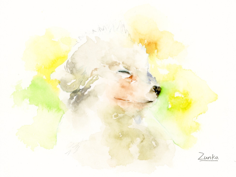 透明水彩でペットや動物の似顔絵を描きます 手描きならではの温もりを手元に。プレゼントにも イメージ7