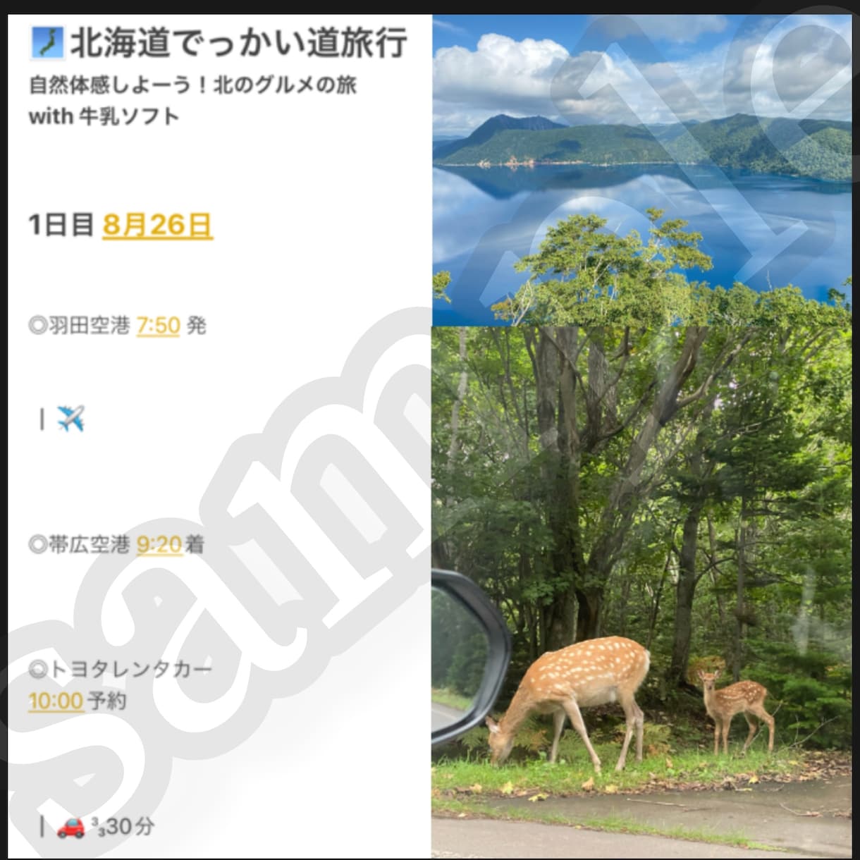 国内旅行専門★あなたにピッタリ旅行プラン制作します あなたの希望可能な限り全て叶えます イメージ1