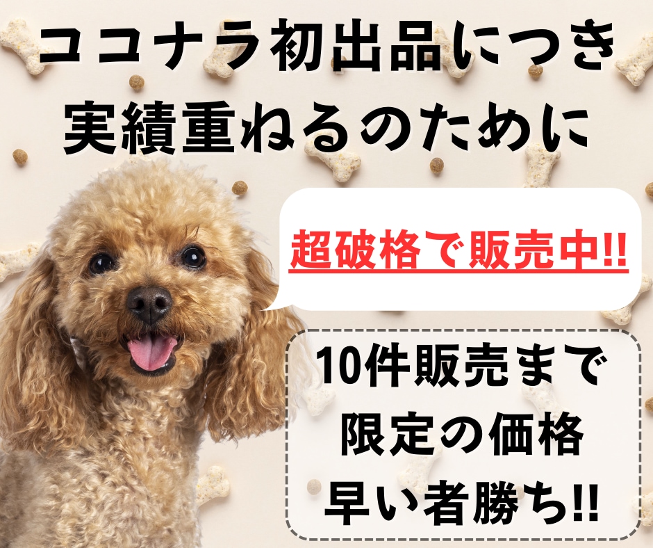 なかなか結果が出ない初心者を救うAI副業教えます ChatGPTを活用し時間が無くでもサクッとできるスキマ副業 イメージ2