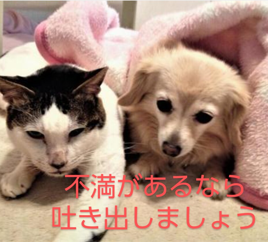 心軽やかに！スッキリして下さい。愚痴お聞きします 気持ちリフレッシュ！ストレス解消タイム。気軽にお話し下さい！ イメージ8