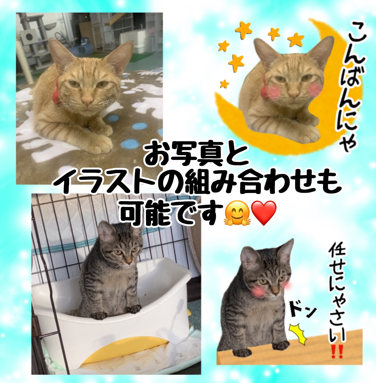 お写真を使ってLINEスタンプお作りいたします 無料修正、申請作業サポート有り！使い易いスタンプ作ります☆ イメージ5