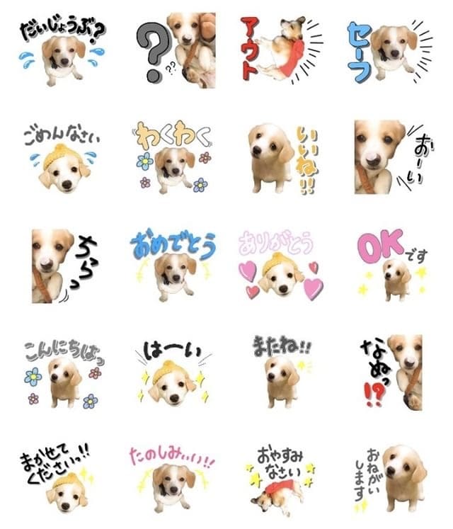 オリジナルLINEスタンプ作ります お値下げ中！お子様やペットの写真を使ってスタンプを作ります♪ イメージ4