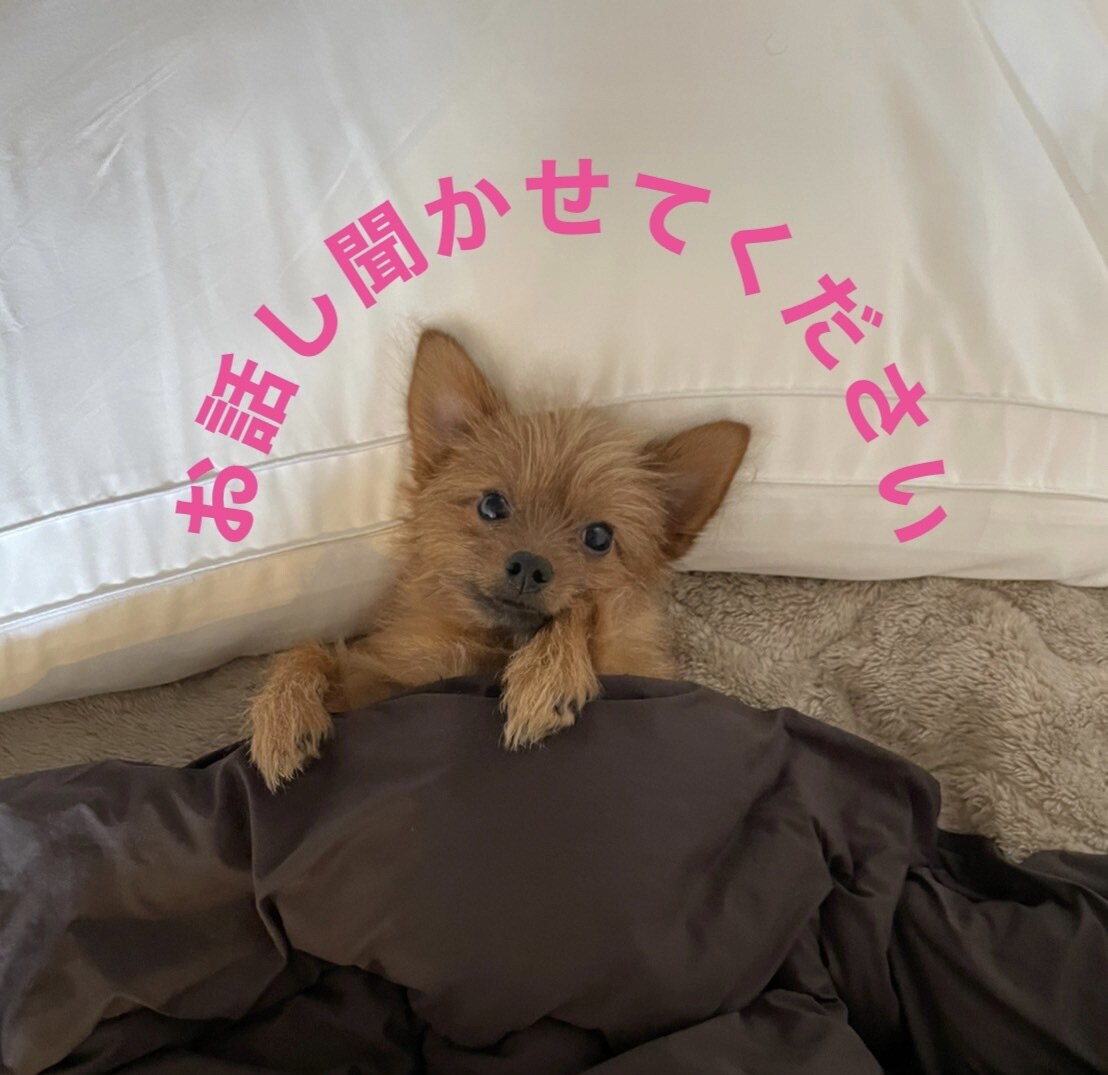 4月限定価格◆3日間フリートークお話し聞きます 電話は苦手だけどトークなら話したいという方大歓迎‼︎ イメージ1