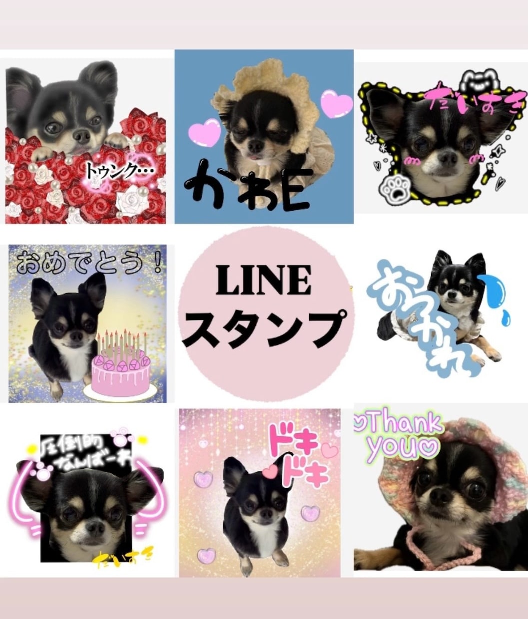 ペットのLINEスタンプ作成します とびっきり可愛いオリジナルスタンプ！ イメージ1
