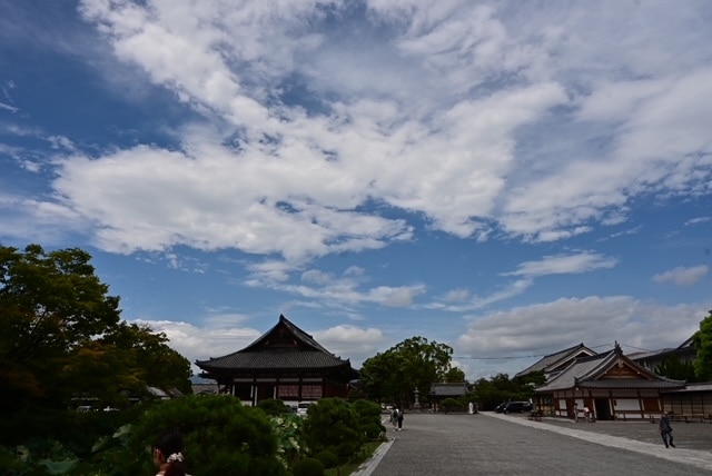 神社仏閣には相性があります 貴方が望む人生に導いてくださる神社仏閣を霊視でお伝えします☆ イメージ5