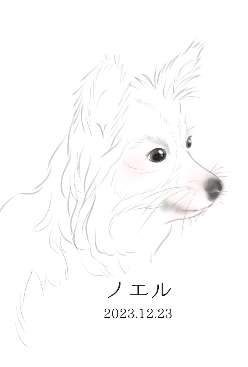 大好きなペットの毛や羽を似顔絵と一緒に残せます ずっと覚えていたいぬくもりを、ずっとそばに イメージ6