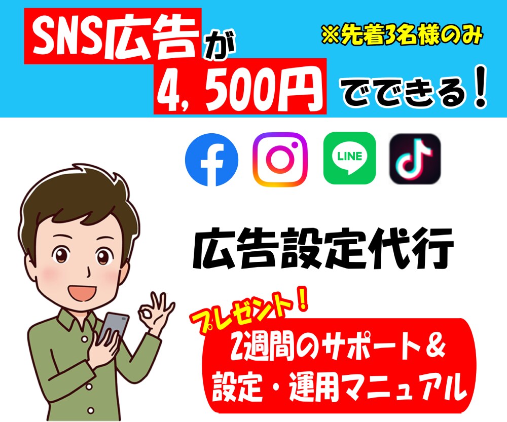 プロがSNS広告の新規運用代行いたします 有資格者が2週間サポートします。【設定・分析マニュアルつき】 イメージ1