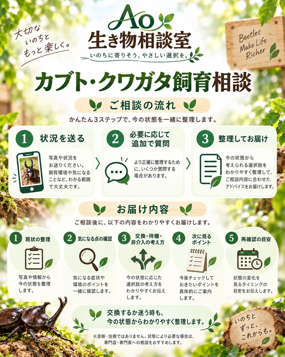 カブトムシ・クワガタの飼育の迷いを整理します 1ケース・1テーマ1,000円｜次の確認事項を整理 イメージ3