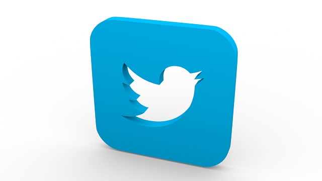 8月限定価格！0から始めやすく解説しています X(Twitter)の基礎からマネタイズ方法まで学べます イメージ3