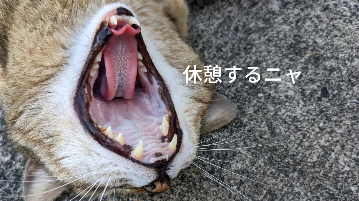 精神科勤務10年以上！寄り添ってお聞きします 辛い思いをしているあなたへ。一人で抱え込まないでください イメージ2