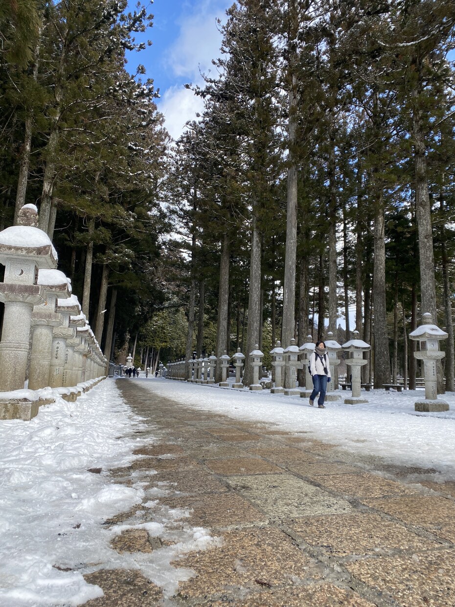 即日作成！国内の旅プラン・旅しおり作成します 行き先・日程・予算に合わせて、プロの旅人が最適プランを提案！ イメージ4
