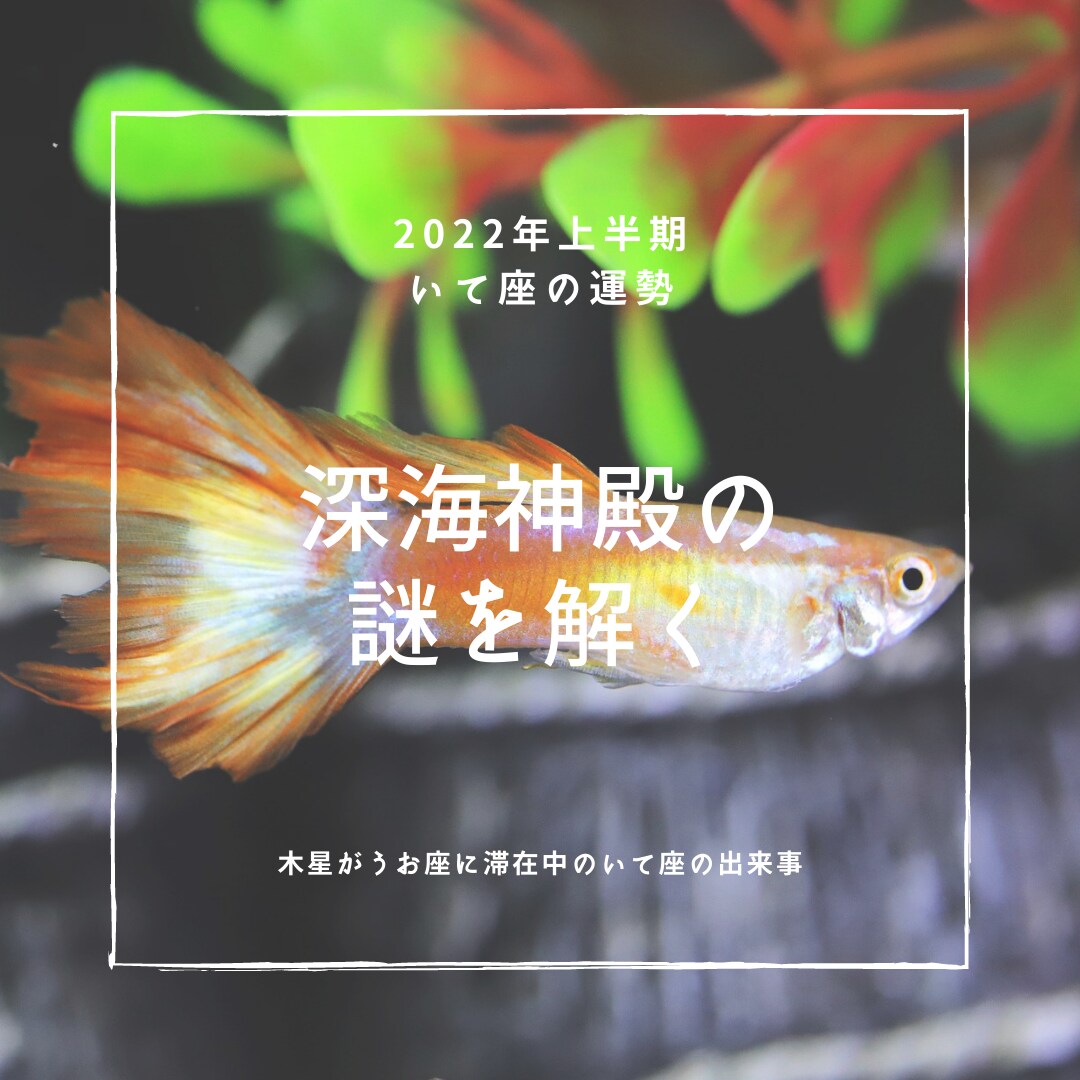 西洋占星術による2022年上半期の運勢をお渡します 時間のないあなたに、ブログやSNSなどに使用可能な運勢鑑定 イメージ10
