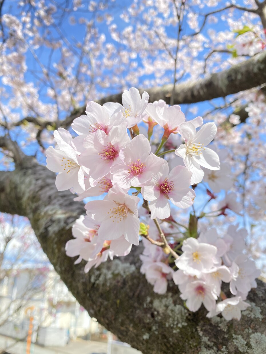 恋愛全般のお話・お惚気話聞きます 周りには言えないけど聞いて欲しいお話 私にぜひ！！ イメージ1