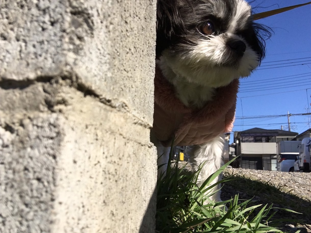 なんでもお話聞きます 仕事、恋愛、人生、モヤモヤした気持ちを吐き出しませんか？ イメージ1