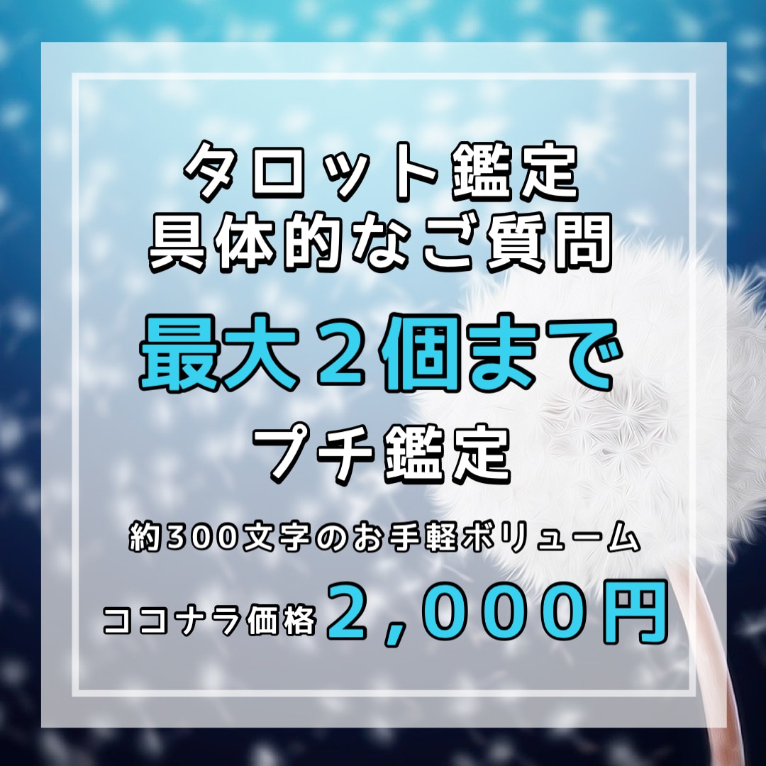 質問最大2個！お試し価格でタロット鑑定します プリエール花ってどんな感じ？のお試しに最適！