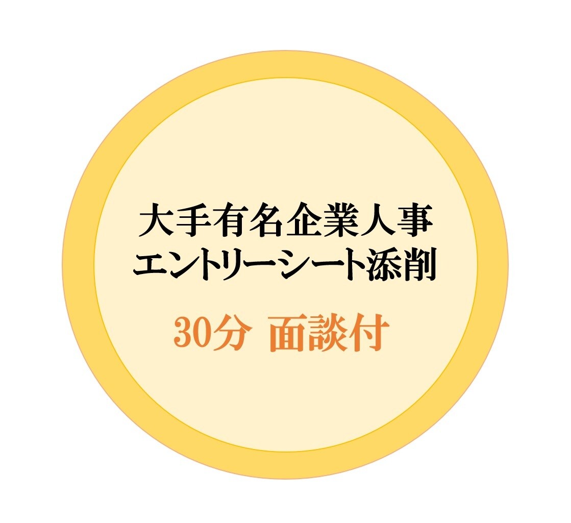 １社／エントリーシートを面談にて添削、指導します 面談で直接質問しながらESをブラッシュアップできます！ イメージ1
