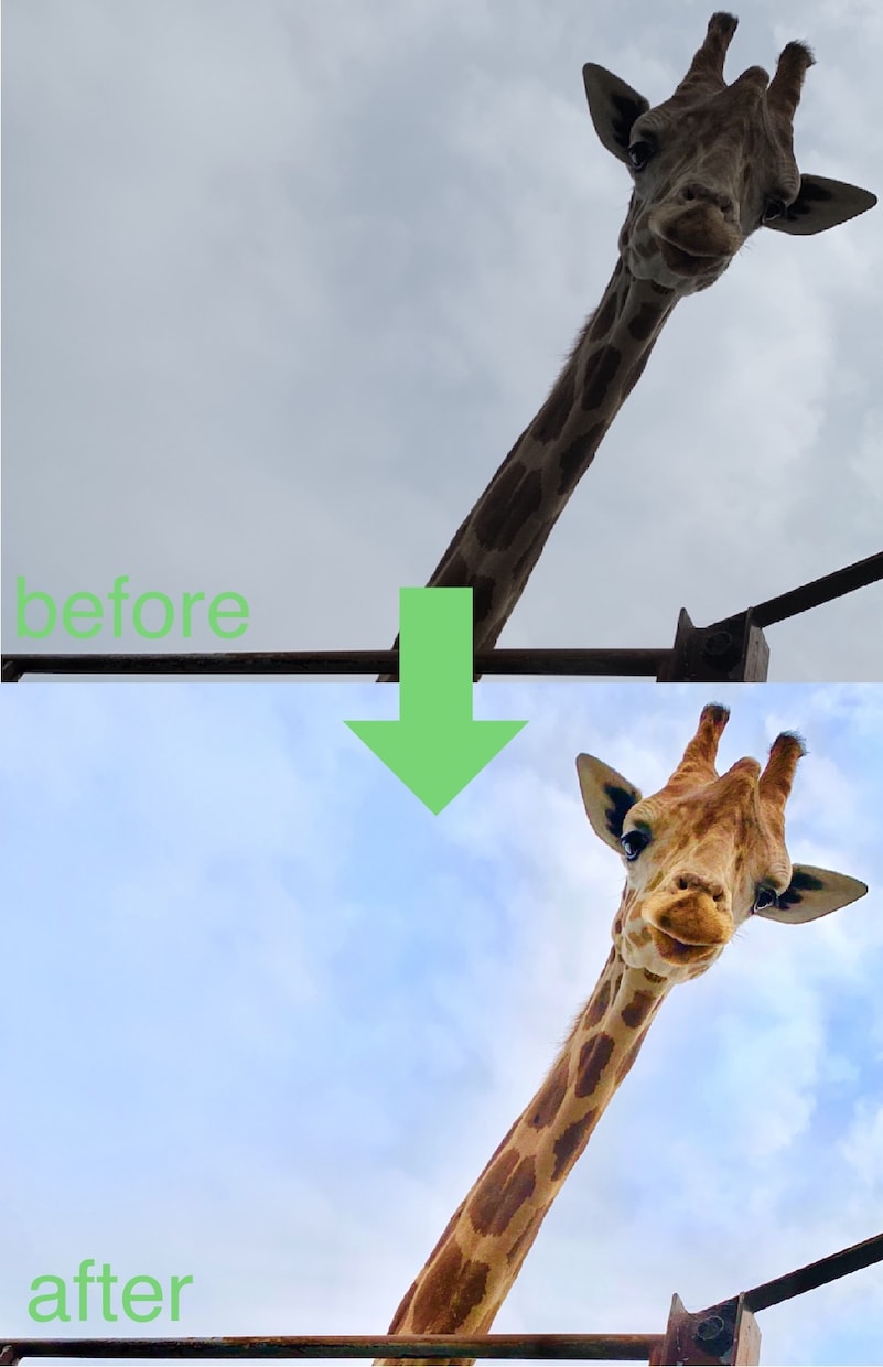 きれいに画像加工します 写真を明るく鮮やかな加工に仕上げます！ イメージ2