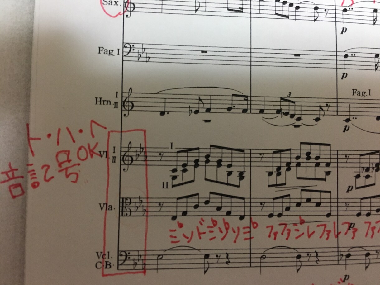 楽譜の音読みお手伝い ドレミ記入や移調します 楽譜を読むのが苦手でも音楽を楽しみたい方に♪ イメージ4