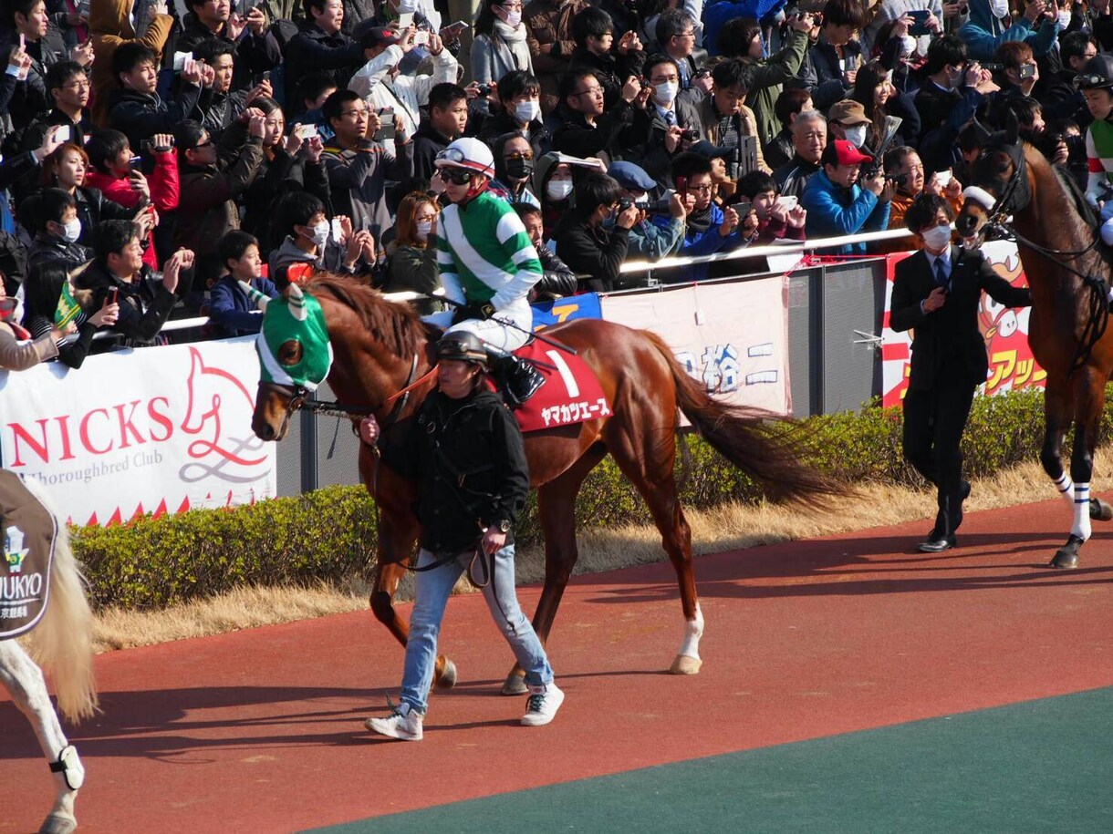 競馬の予想を提供します 最近不調なあなた、また、初心者の方 イメージ1