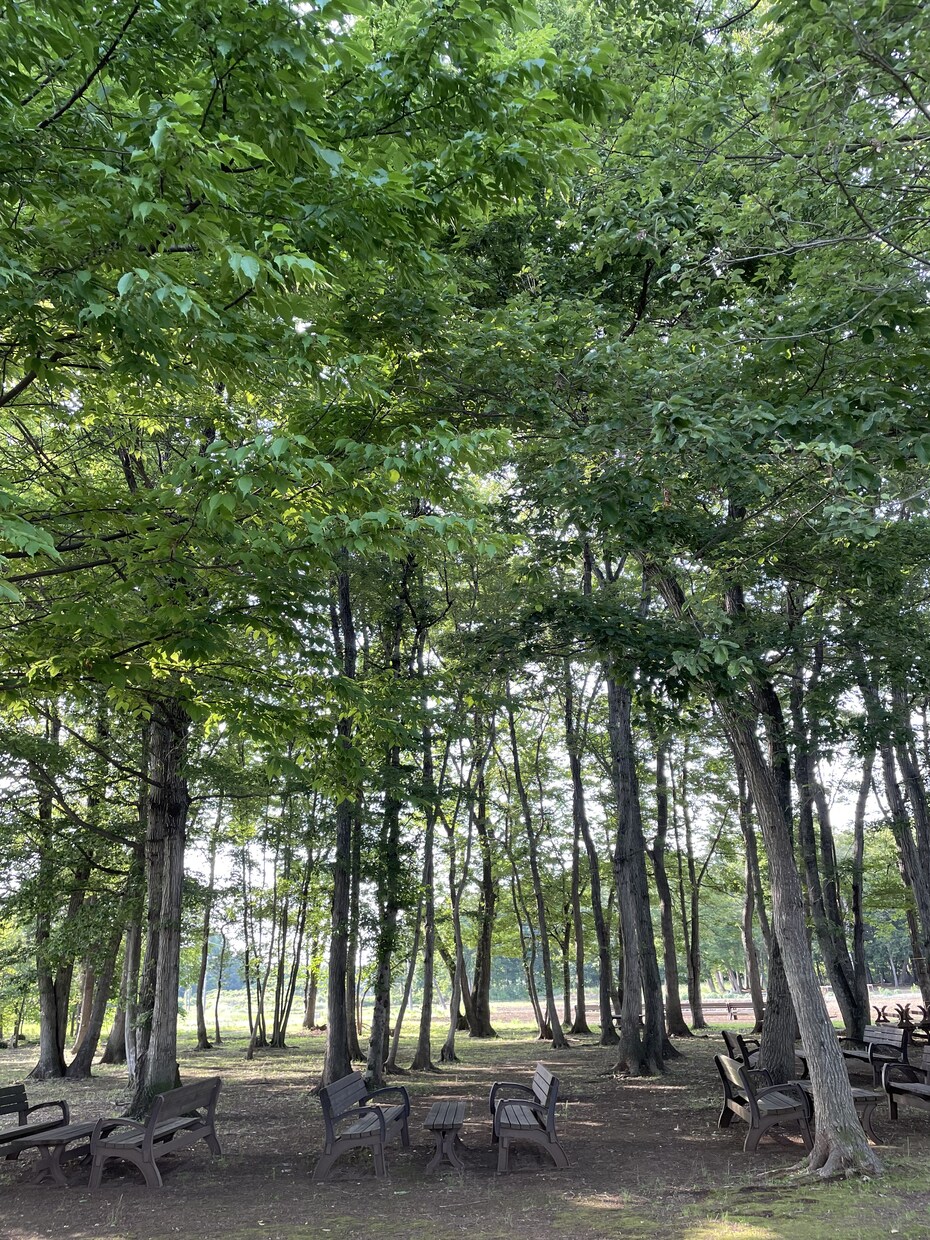 誰にも話をする事ができない時、私が聞きます 心のモヤモヤを吐き出し新たな一歩を踏み出そう イメージ7