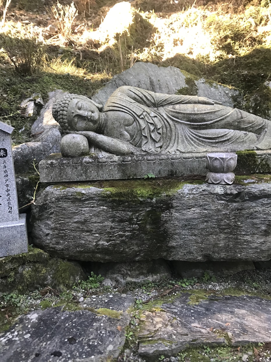 占い鑑定や相談承りますます 1人で悩まず相談してみませんか(^^) イメージ2