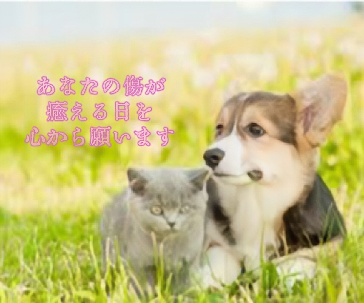 ペットロス大切な家族を亡くした悲しみを共に抱えます ペットロス/喪失感/犬/猫/動物/家族/ペット/別れ/死 イメージ5
