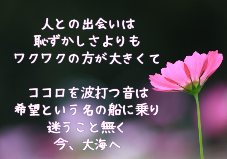 11月末迄初出品特価◇あなたの楽曲に歌詞を付けます 一緒に素敵な物語を作りましょう イメージ2