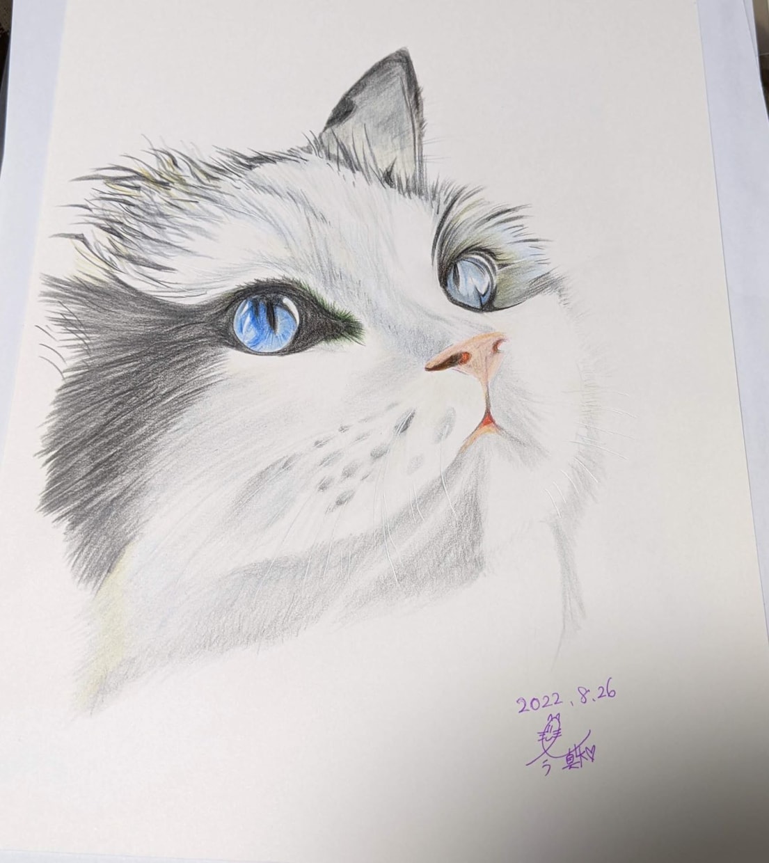 猫の似顔絵描きます 色鉛筆画で写真そっくりに描きます。 イメージ7