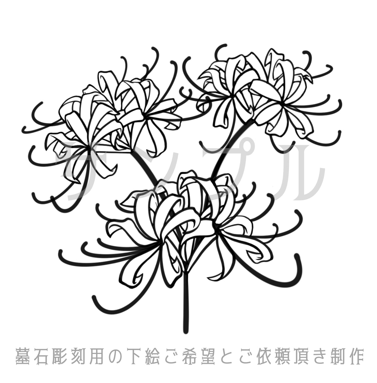 お花や葉っぱ、植物のイラスト優しいタッチで描きます ナチュラル〜リアルタッチのテイストでお花や植物をお描きします イメージ5