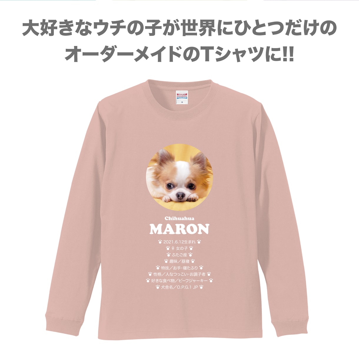 ペット（犬　猫）の画像で、うちの子Tシャツ作ります プロフィール入りだから着ているだけで自己紹介が出来ちゃいます イメージ2