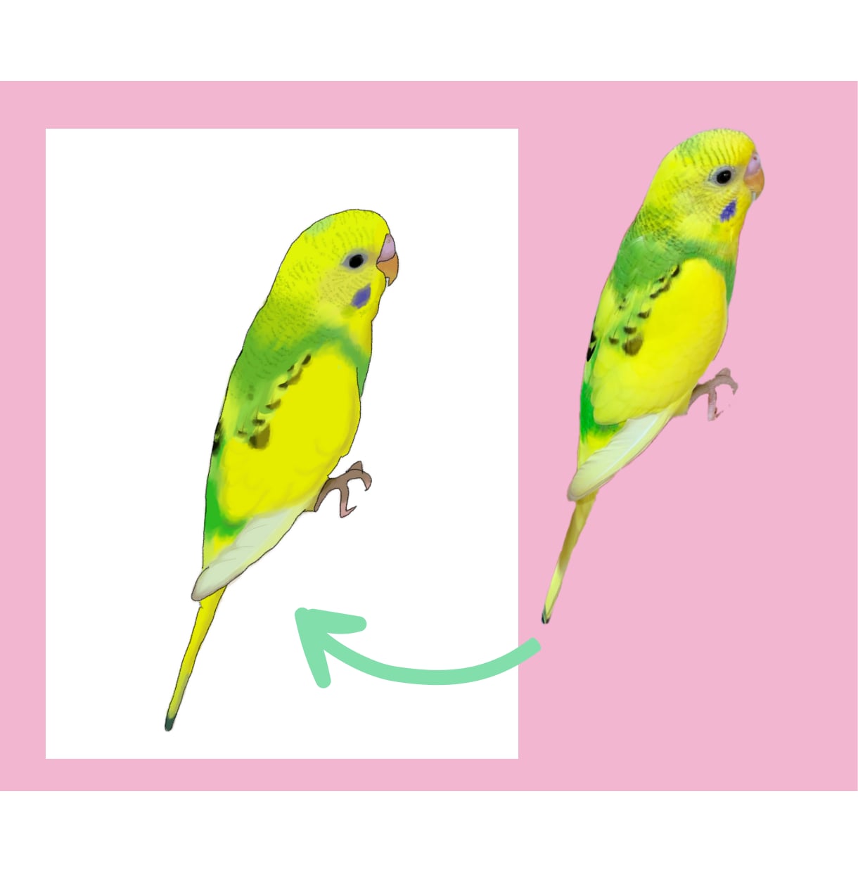 ペット写真をイラスト化します うちの子を世界に一枚のイラストにして記念やプレゼントに♪ イメージ4