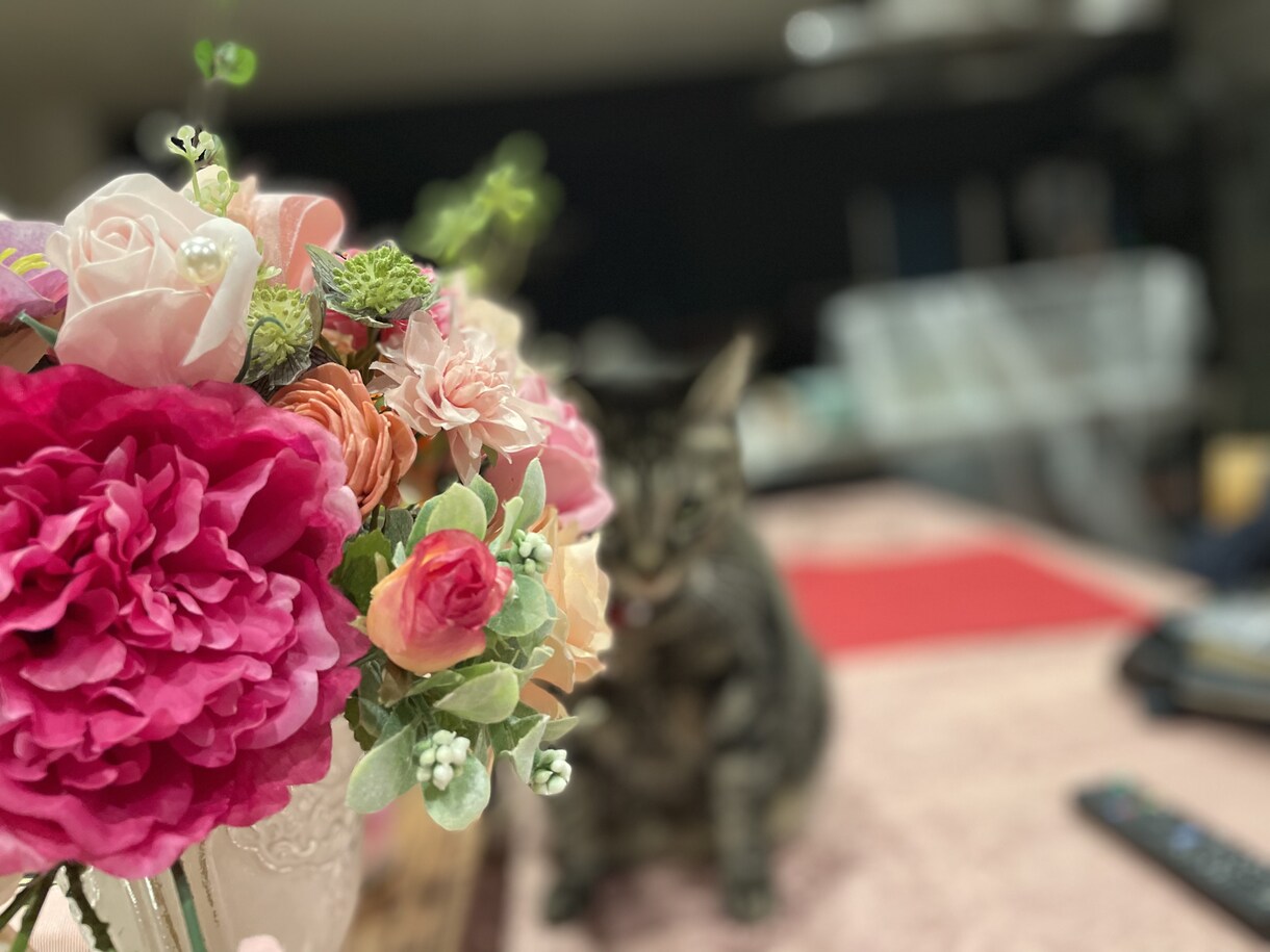誰かに聞いてもらいたいこと聞きます 誰にも話せない....でも吐き出したいことありますよね。 イメージ1