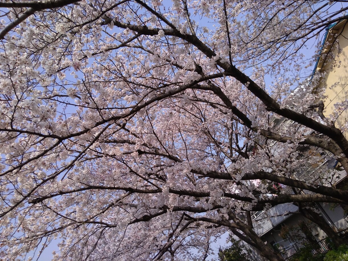 とにかくお話したい方、お相手になります たわいのないおしゃべりから、日々感じる不安など、思うがままに イメージ9