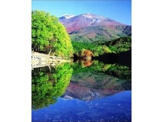 宮城県、仙台旅行のプランニングを致します 情報誌に載っていない地元のスポットを楽しみたい方に。 イメージ1
