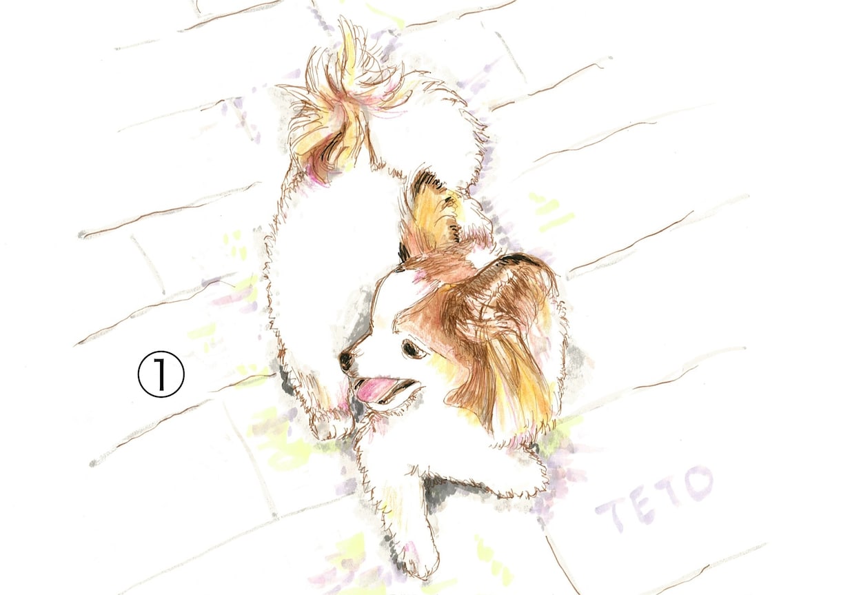 お好きな絵柄で動物のイラストをお描きします ペットや動物をお好きな絵柄で、アナログイラストに仕上げます。 イメージ2