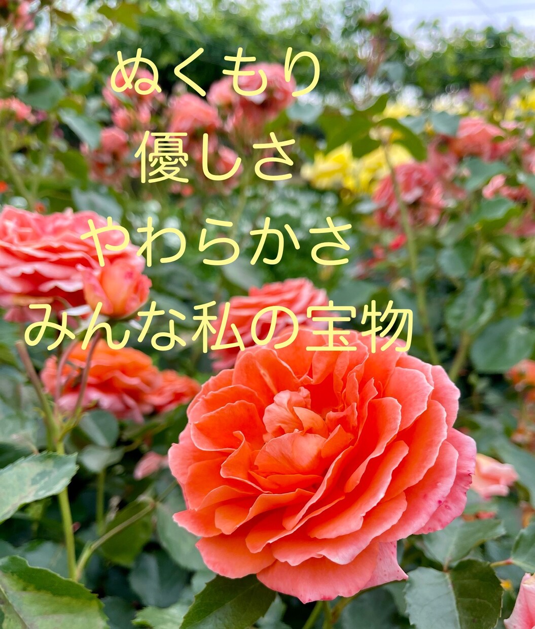 あなたのハッピーをお聴きします あなたの大切な声で、心の嬉しい！を伝えてください。 イメージ4