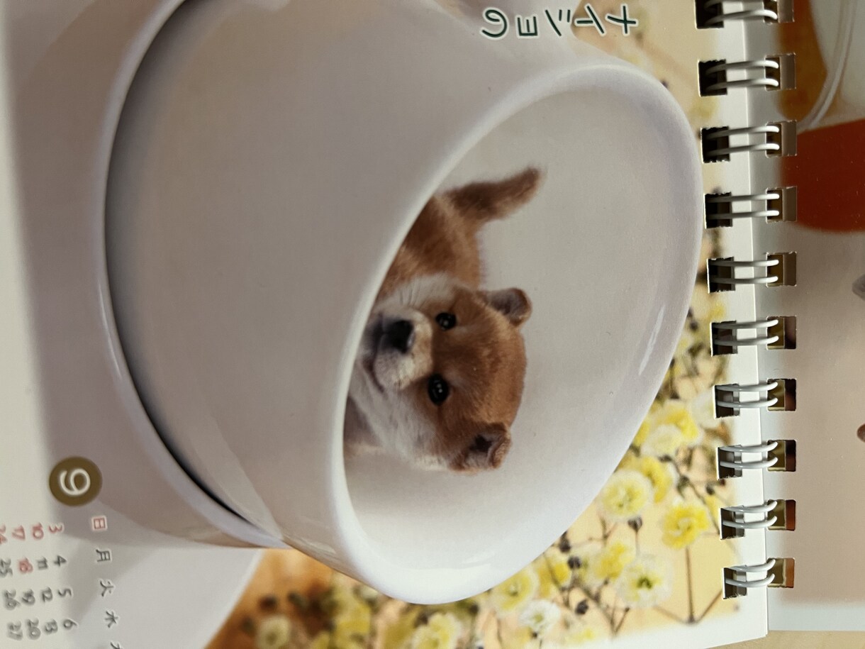 あなたのお話を聞きます HSPのわたしがどんなお話でも聞きます⭐︎ イメージ2