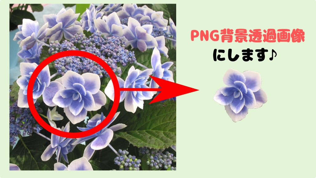 写真の切り抜き・自然な修正を致します 証明写真やSNS用に、遺影のお写真加工もOK！ イメージ2