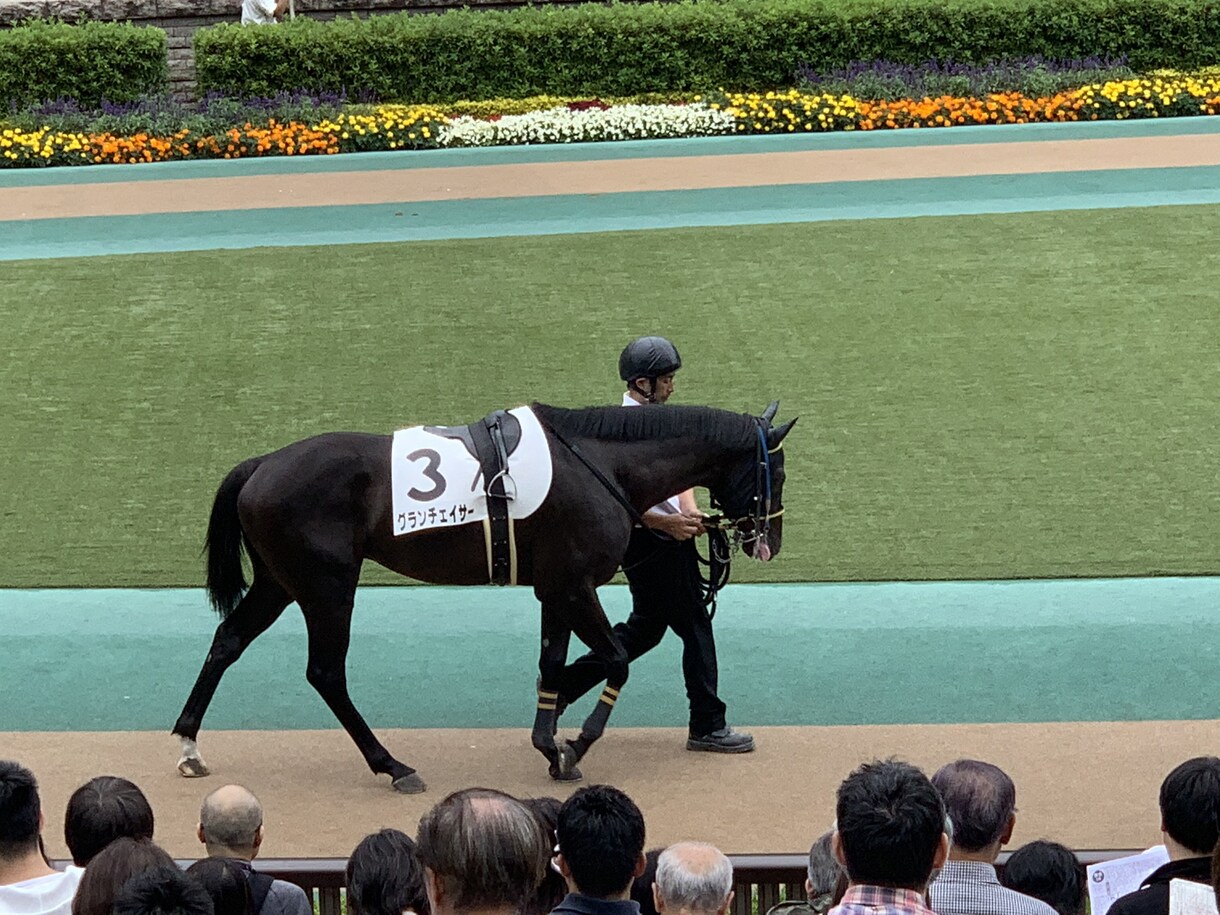 7月21日中央競馬予想します メインレースを中心に気になるレースも含めて予想します イメージ1
