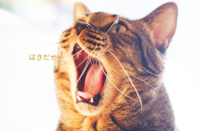 話してほっとしよ！あなたの声にならない声を聴きます 落ち着いて、一息。あなたのペースでゆっくりとお話聴きます。 イメージ6