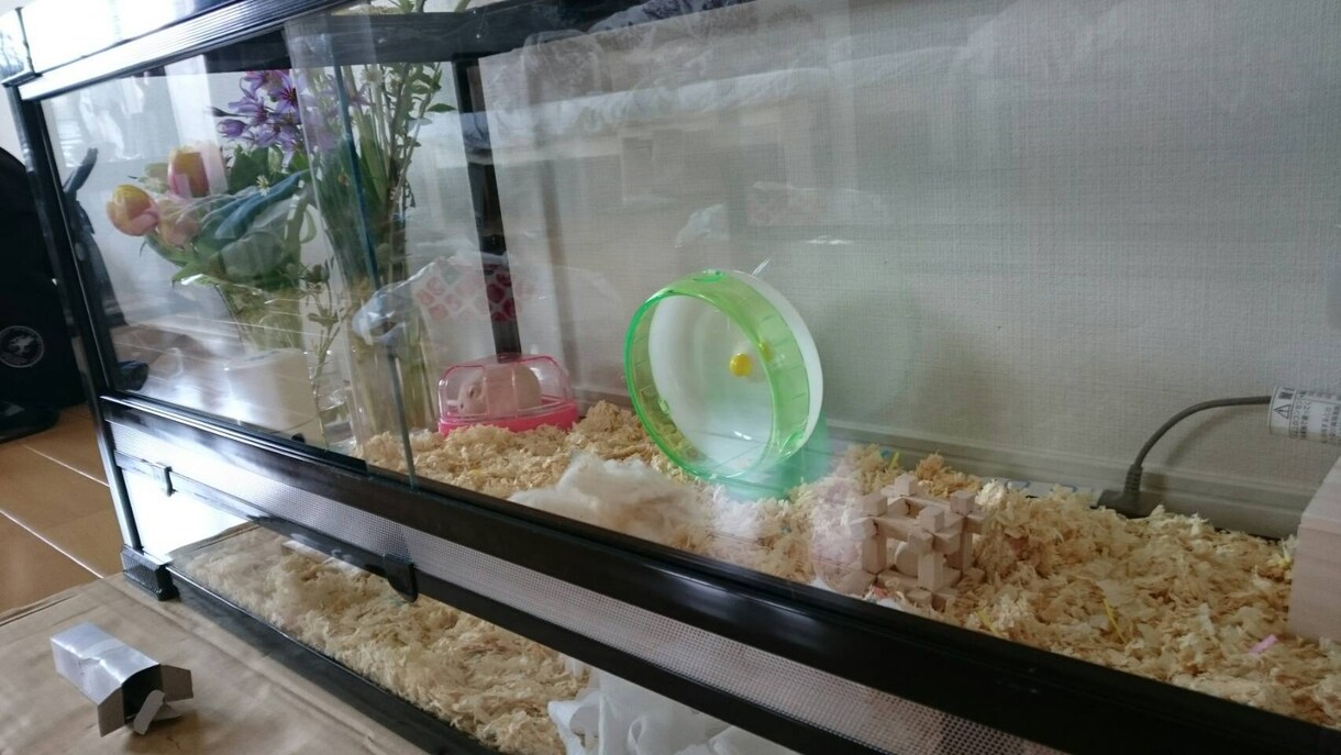 愚痴、お悩み、何でも聞かせていただきます 心に寄り添い、少しでも精神的なご負担を軽くします イメージ2