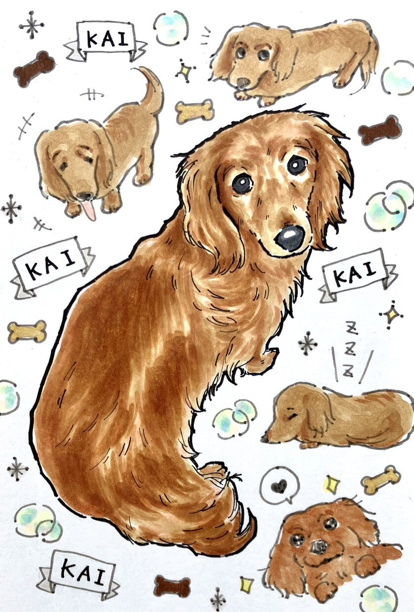 カラフルペット似顔絵。うちの子イラスト描きます うちの子記念日、誕生日プレゼント、ペット友達のプレゼントにも イメージ10