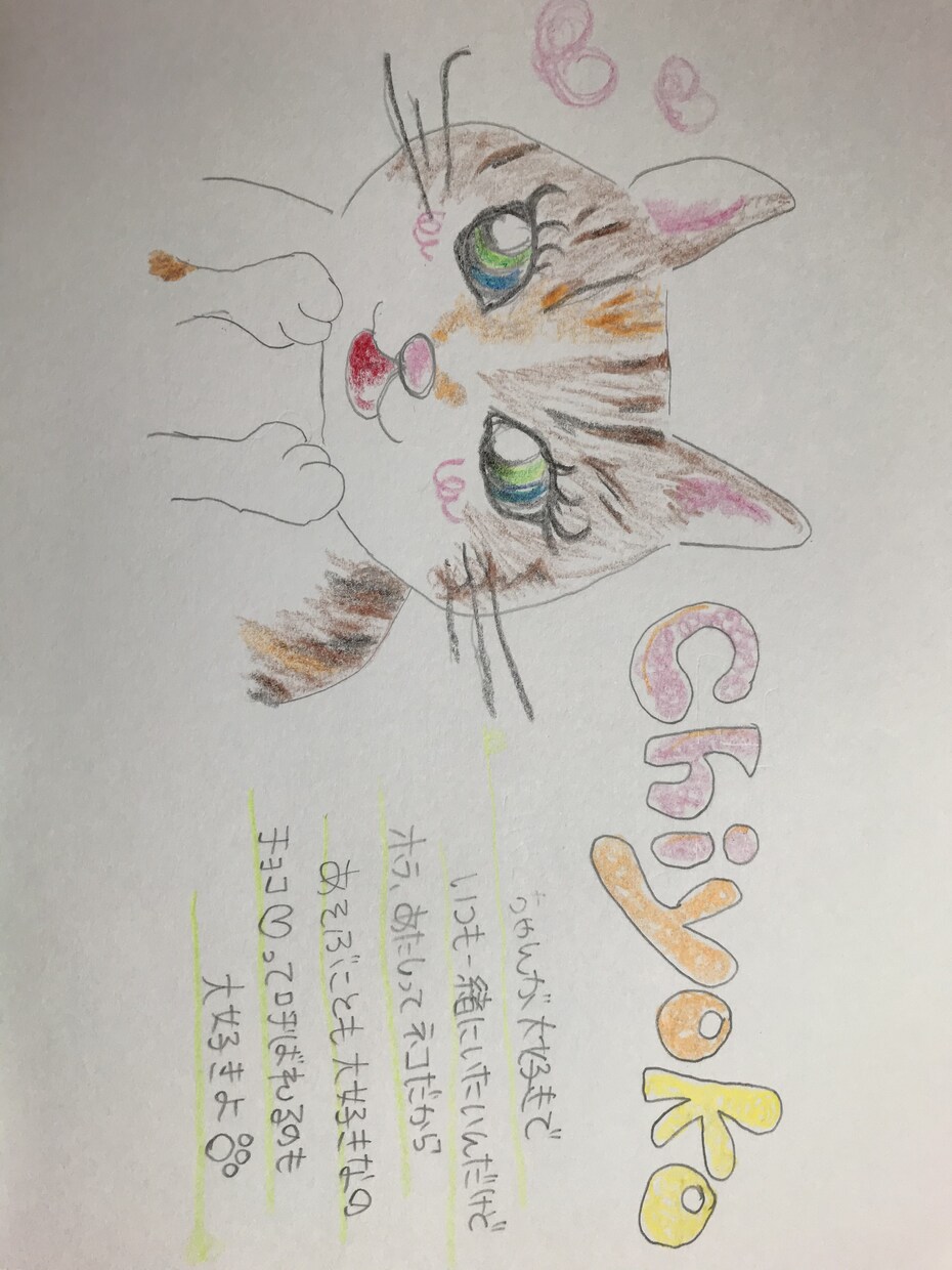 ペットからのイラストつきお手紙を書きます とにかく可愛さを前面に出していきます イメージ2