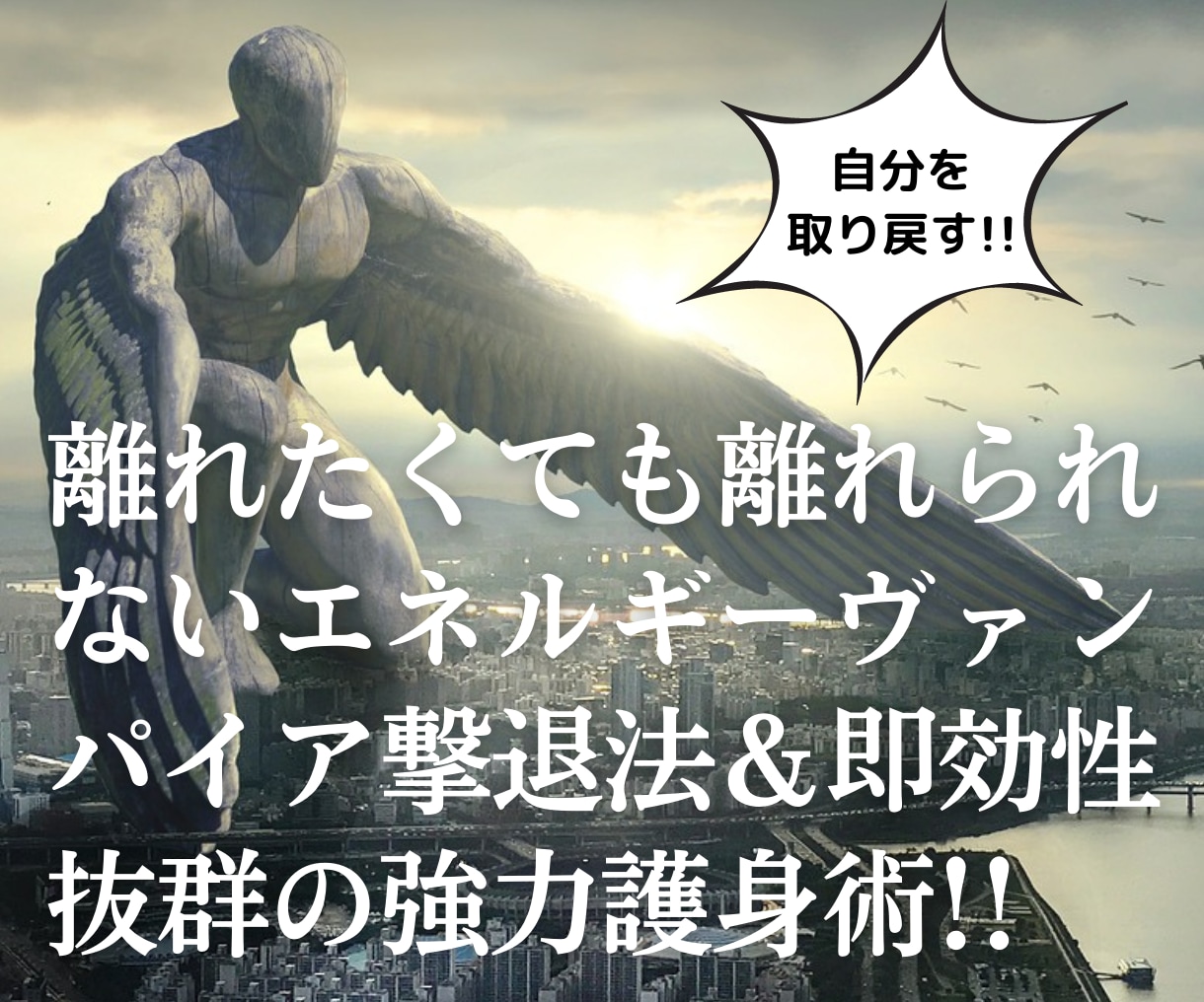 超強力版! 理不尽な人間関係の悩みから解放されます エナジーヴァンパイア護身術であなただけの時間と人生を取り戻す イメージ2