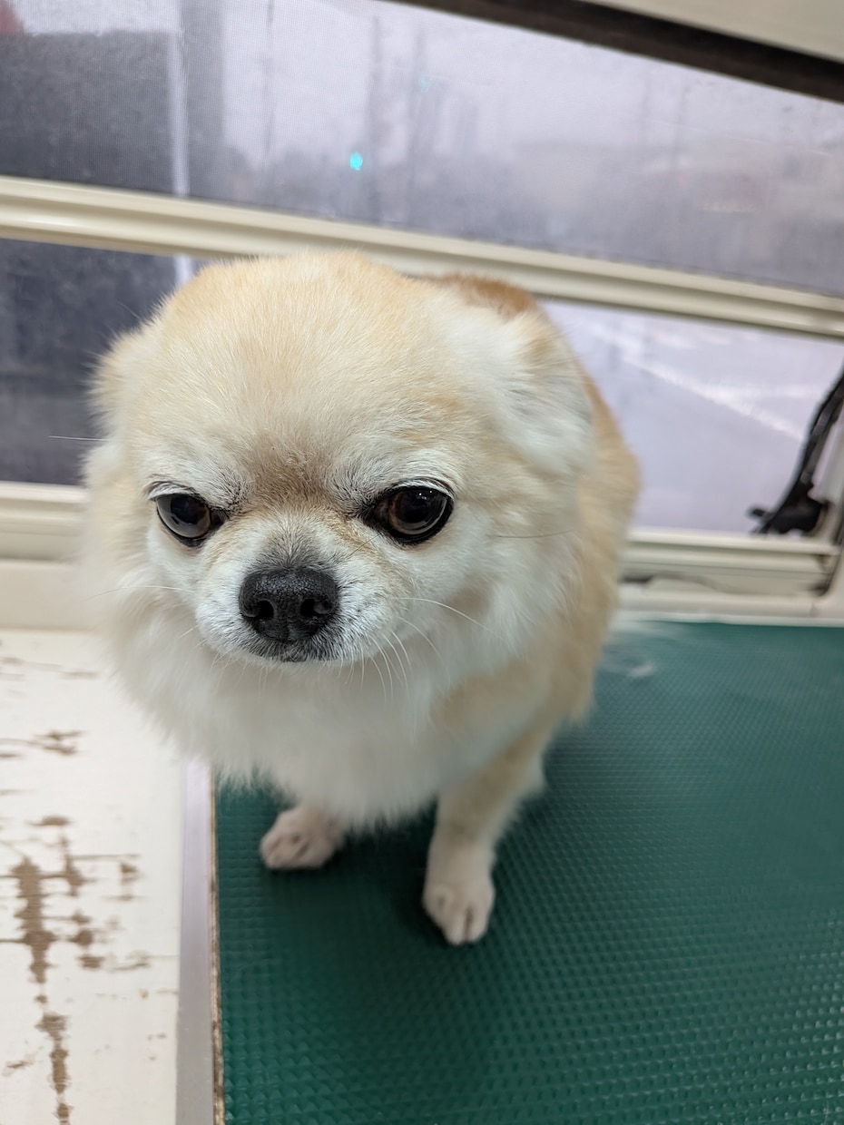 店舗なしで月収UP！店舗なしでの独立相談に乗ります 週休3日で稼ぐ仕組み！移動サロンの集客と運営術を伝授します イメージ4