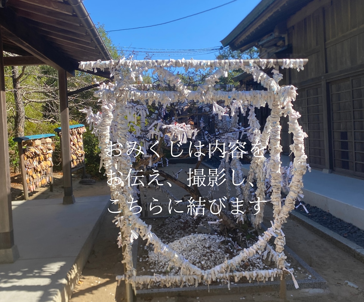 神様の良縁を結んだ最強縁結び白兎神社へ参拝します 最古の縁結び♡可愛いうさぎさんの神社子宝・皮膚病・動物医療 イメージ2